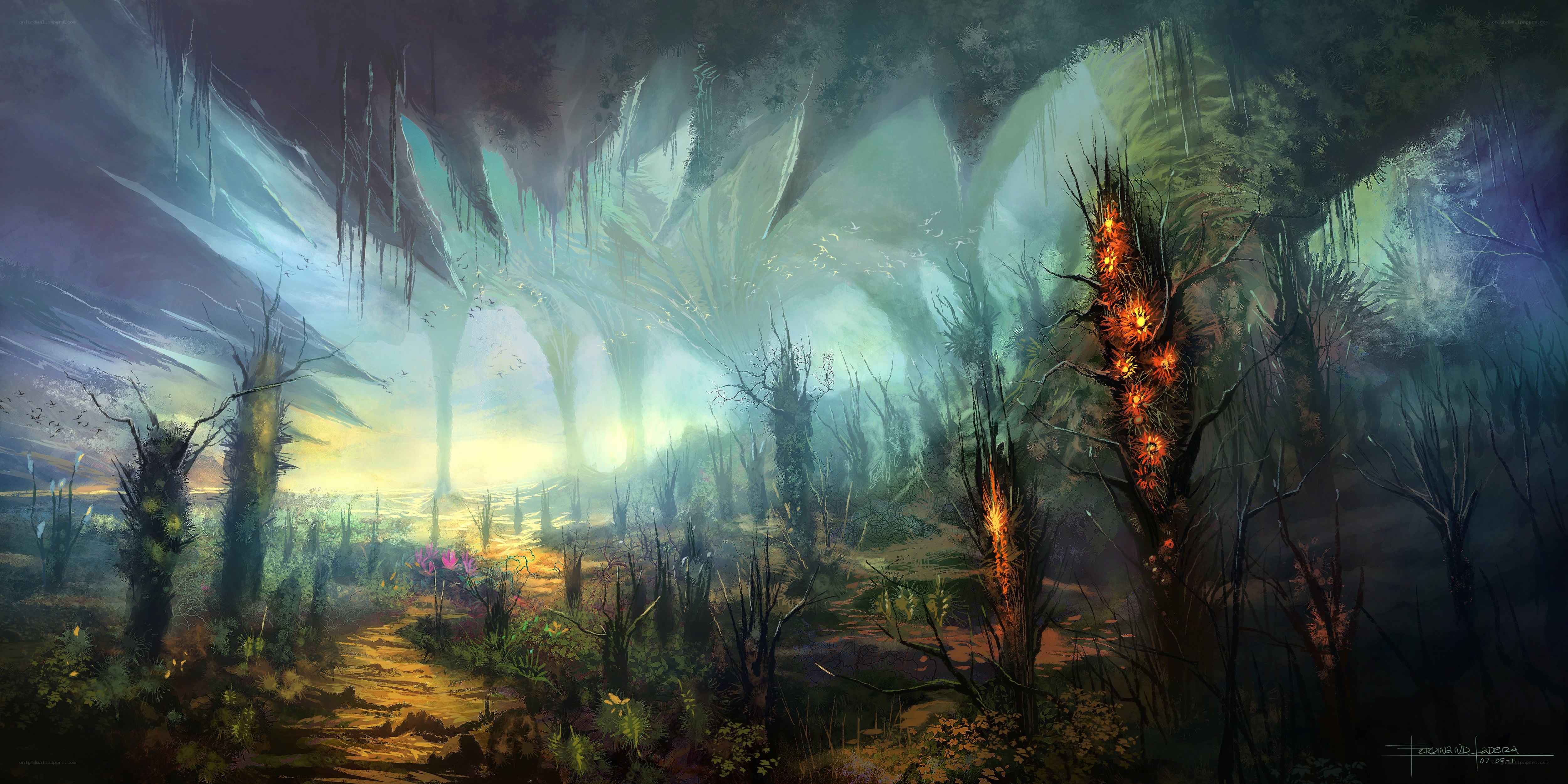 mystical forest cave