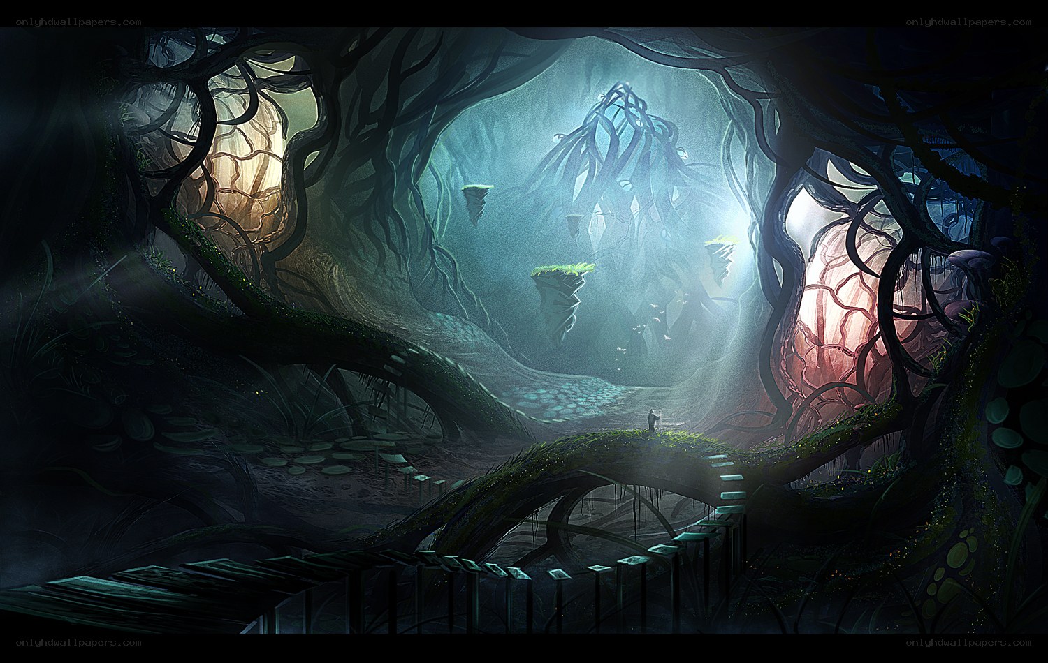mystical forest cave
