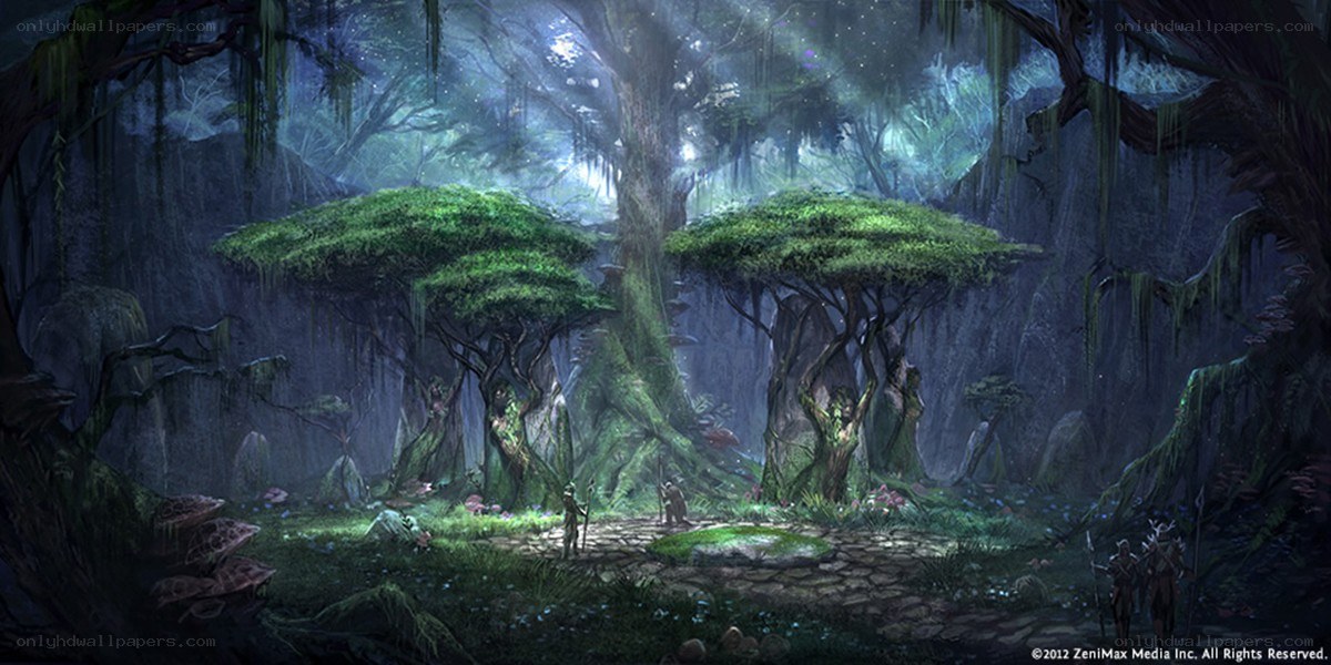 mystical forest clearing