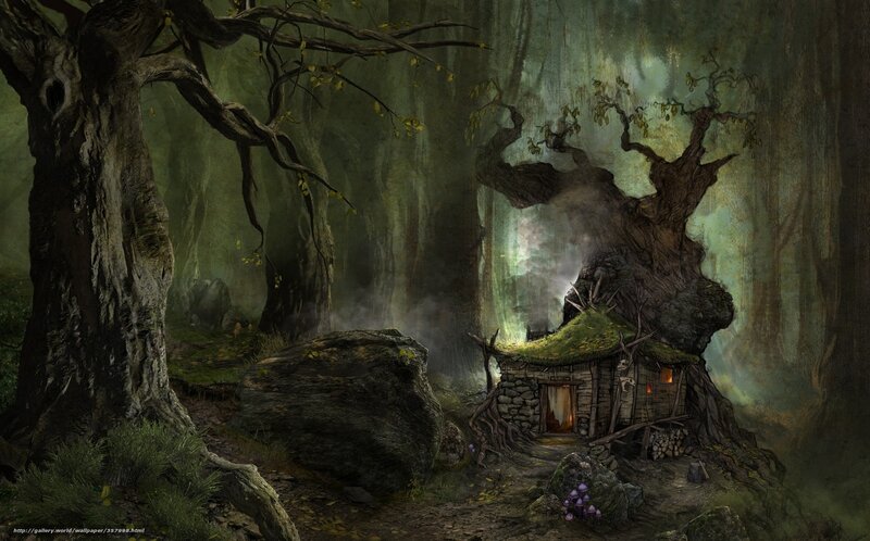Mystical forest cottage