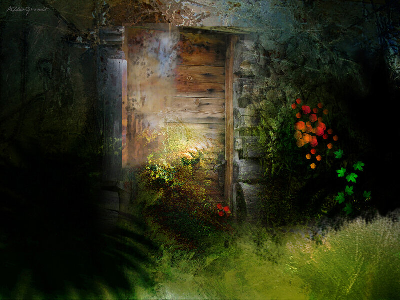 mystical forest door