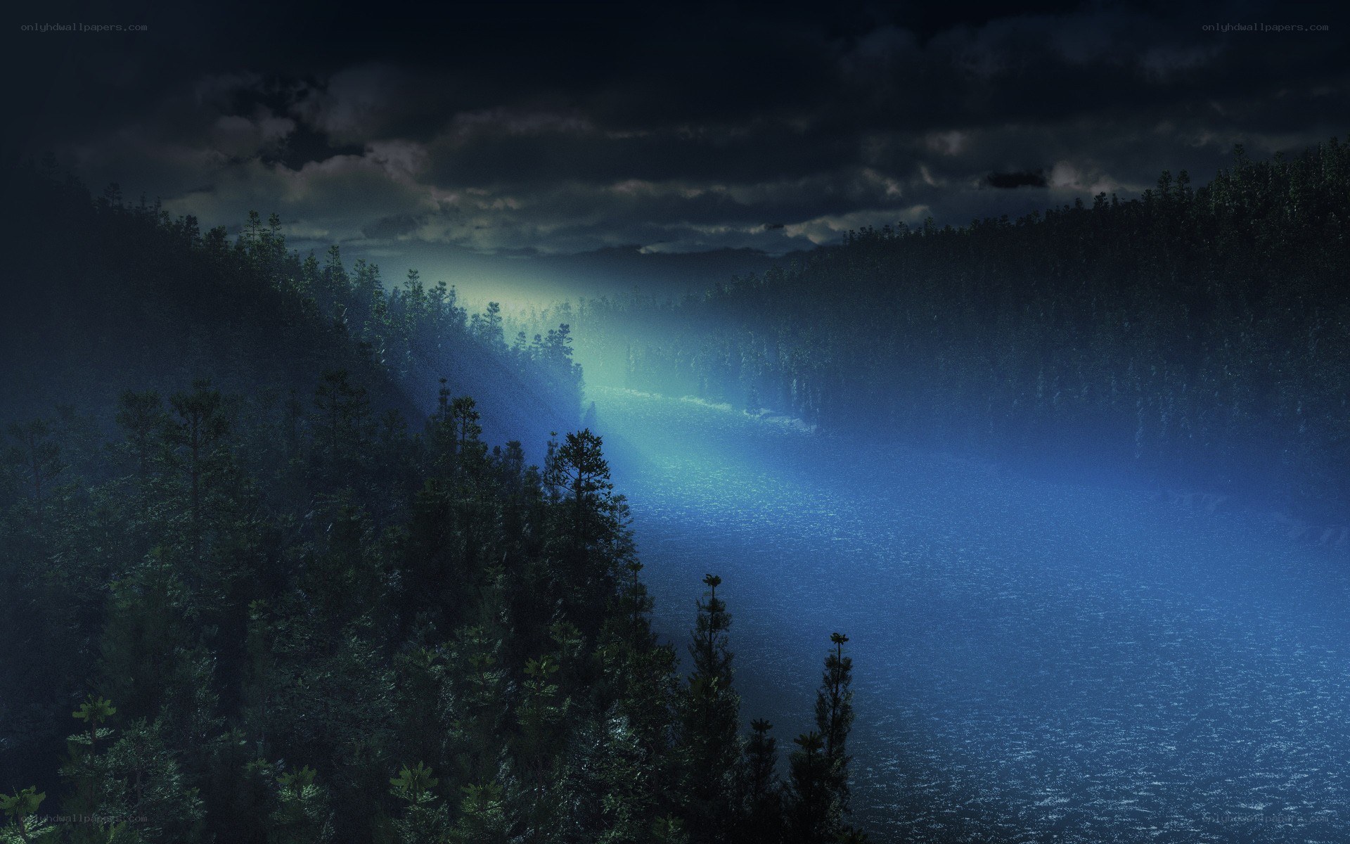 Mystical forest lake at night