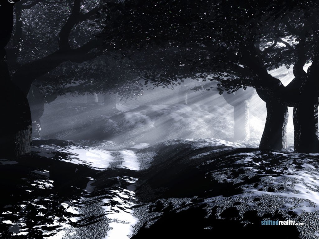 Mystical forest path