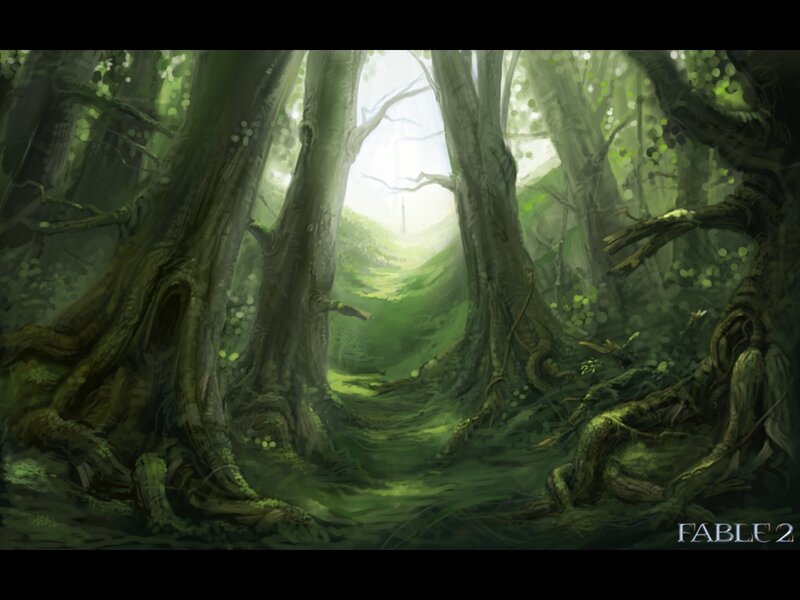 mystical forest path