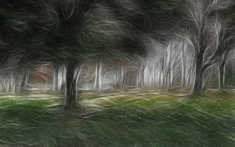 Mystical forest path