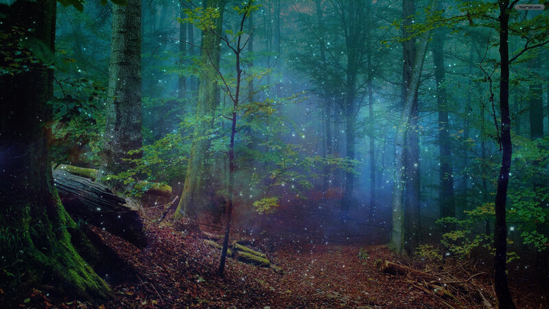 Mystical Forest Path — Green