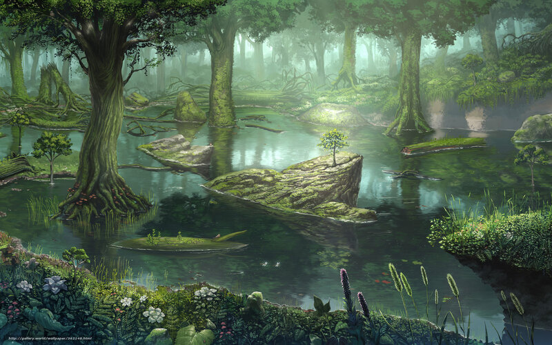 Mystical forest pond
