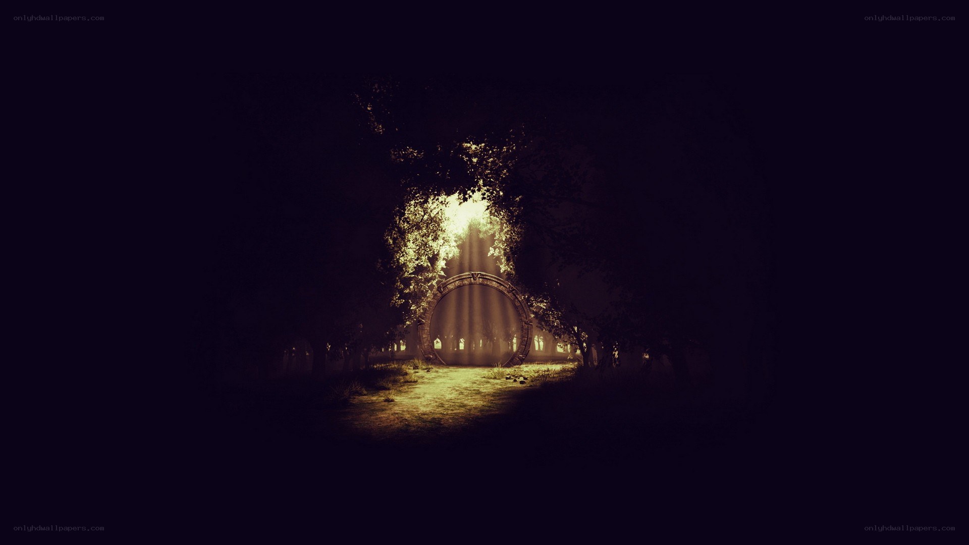 mystical forest portal