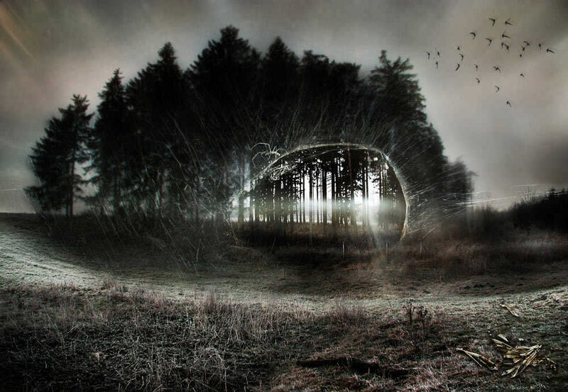 mystical forest portal
