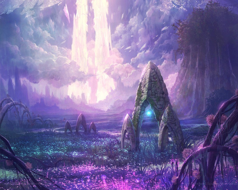 mystical forest portal