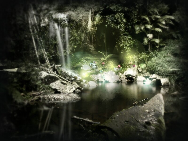 mystical forest waterfall