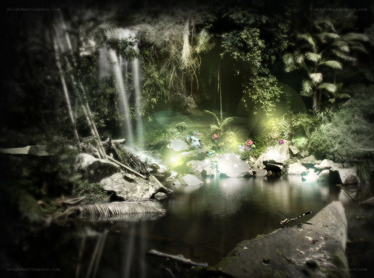 Mystical forest waterfall