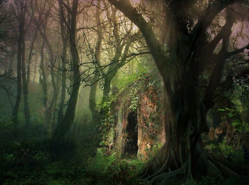 Mystical forest with ancient ruins