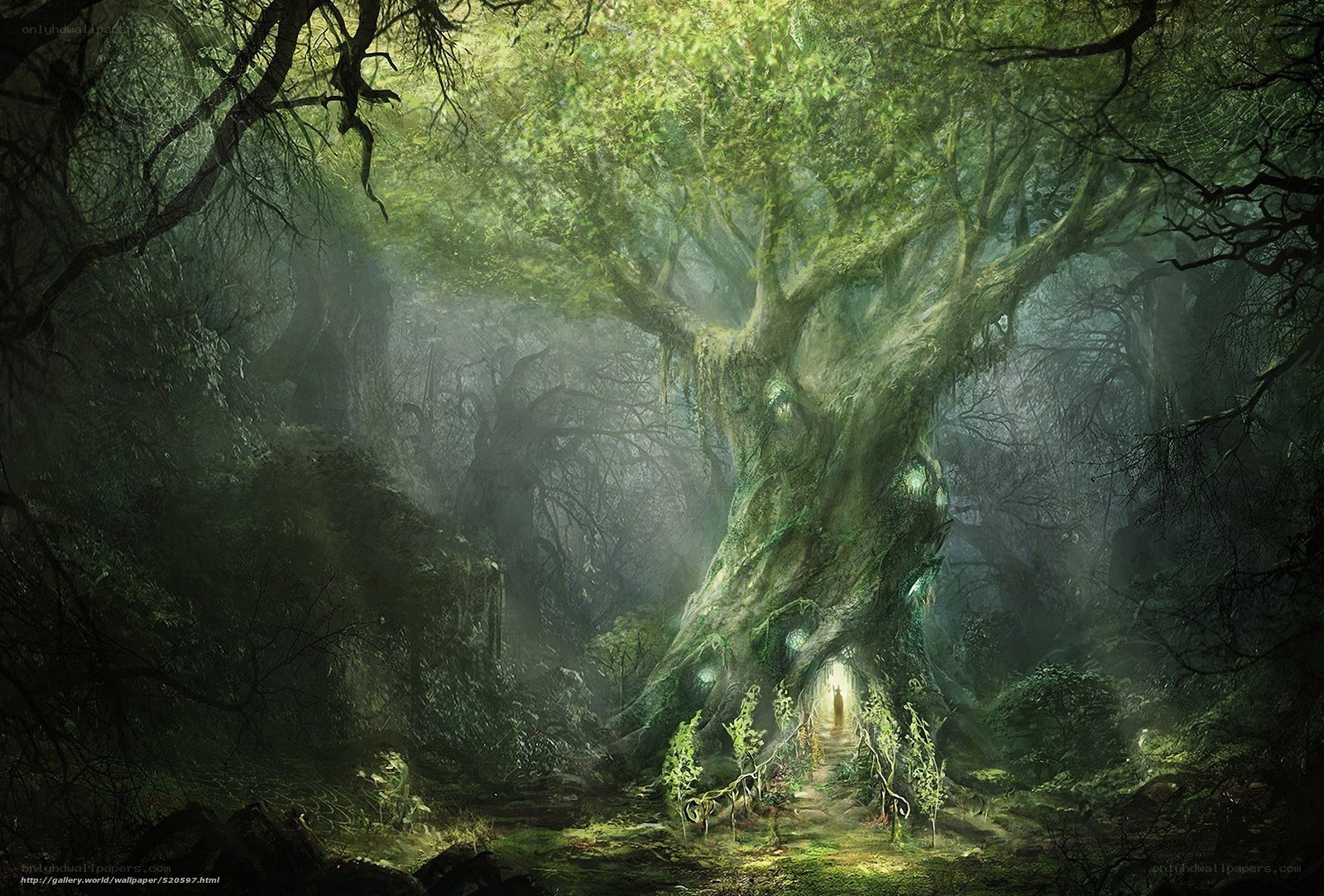 Mystical forest with ancient tree