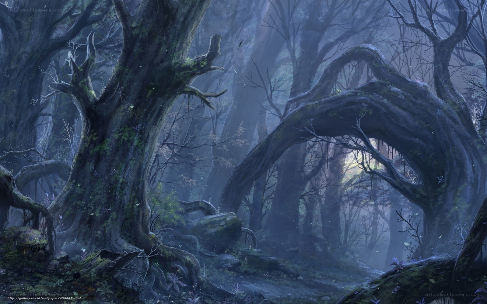 Mystical forest with ancient trees