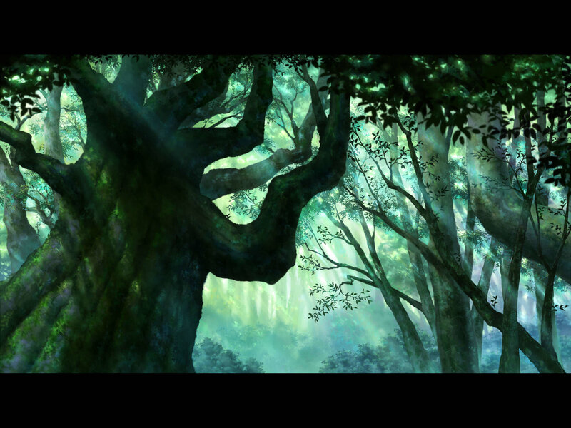 mystical forest with ancient trees
