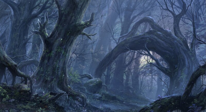 mystical forest with ancient trees