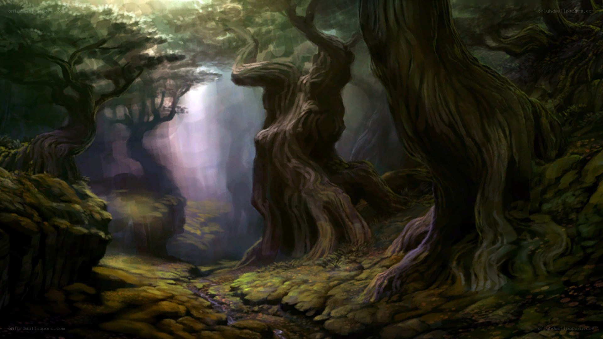 mystical forest with ancient trees