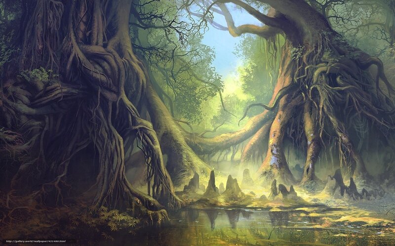 Mystical forest with ancient trees