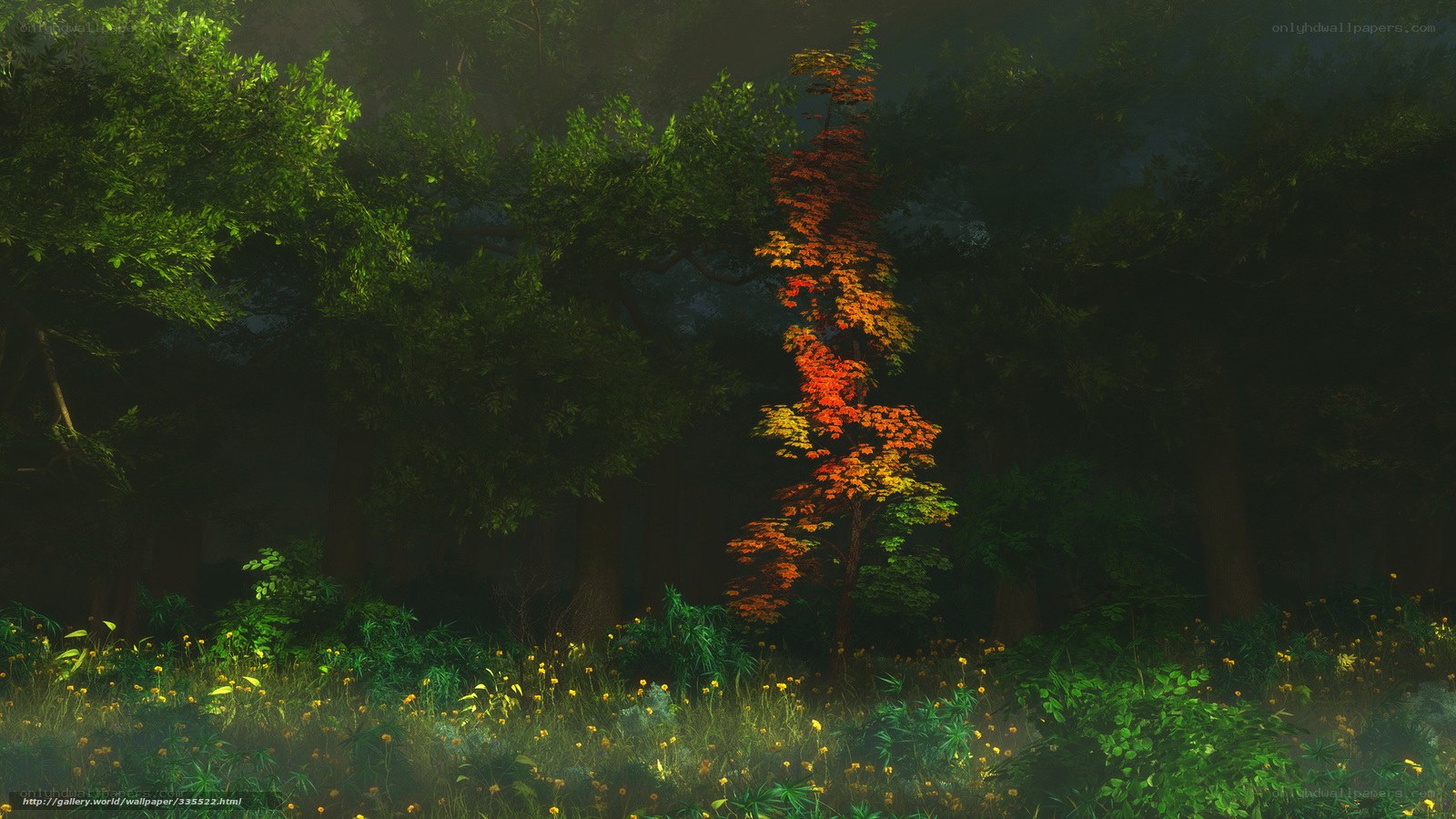 Mystical forest with autumn tree