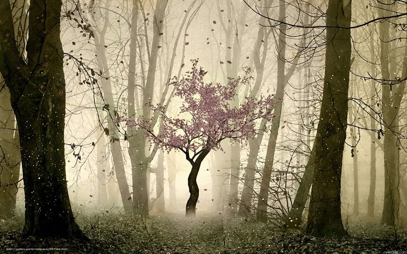 Mystical forest with blooming tree