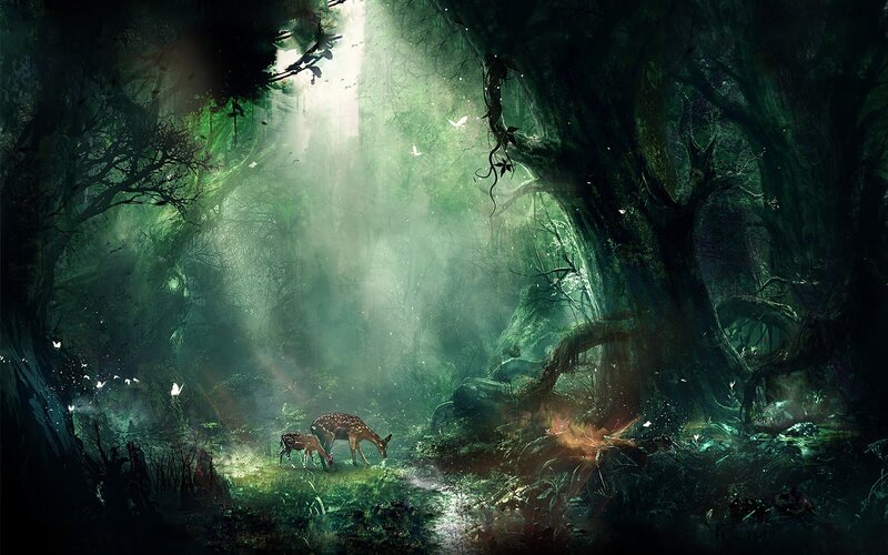 Mystical forest with deer