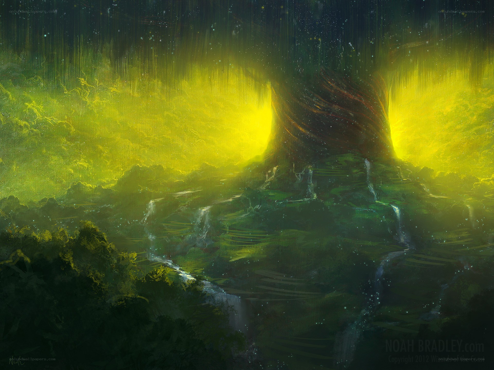 Mystical forest with glowing light