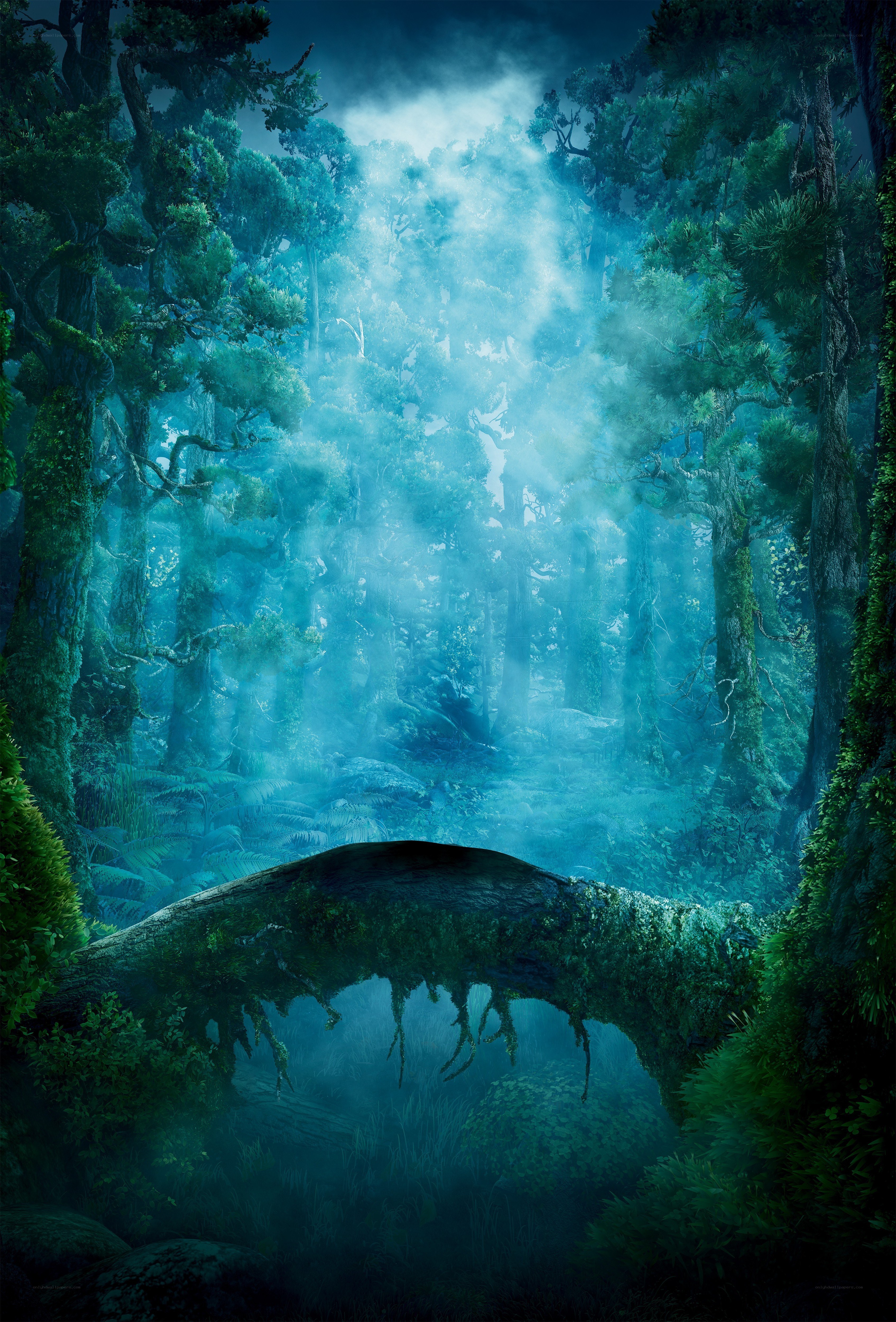 Mystical forest with glowing light