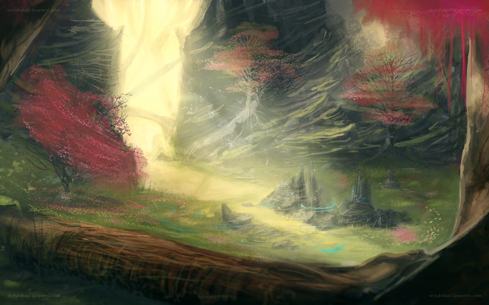 mystical forest with glowing light