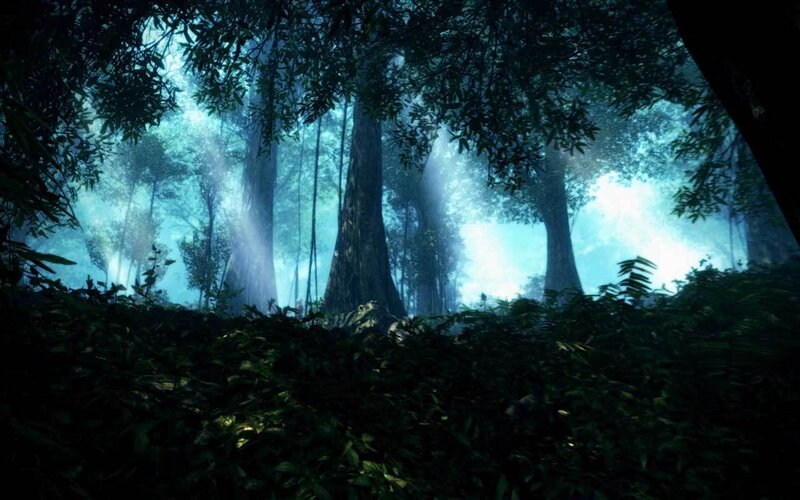 mystical forest with glowing light