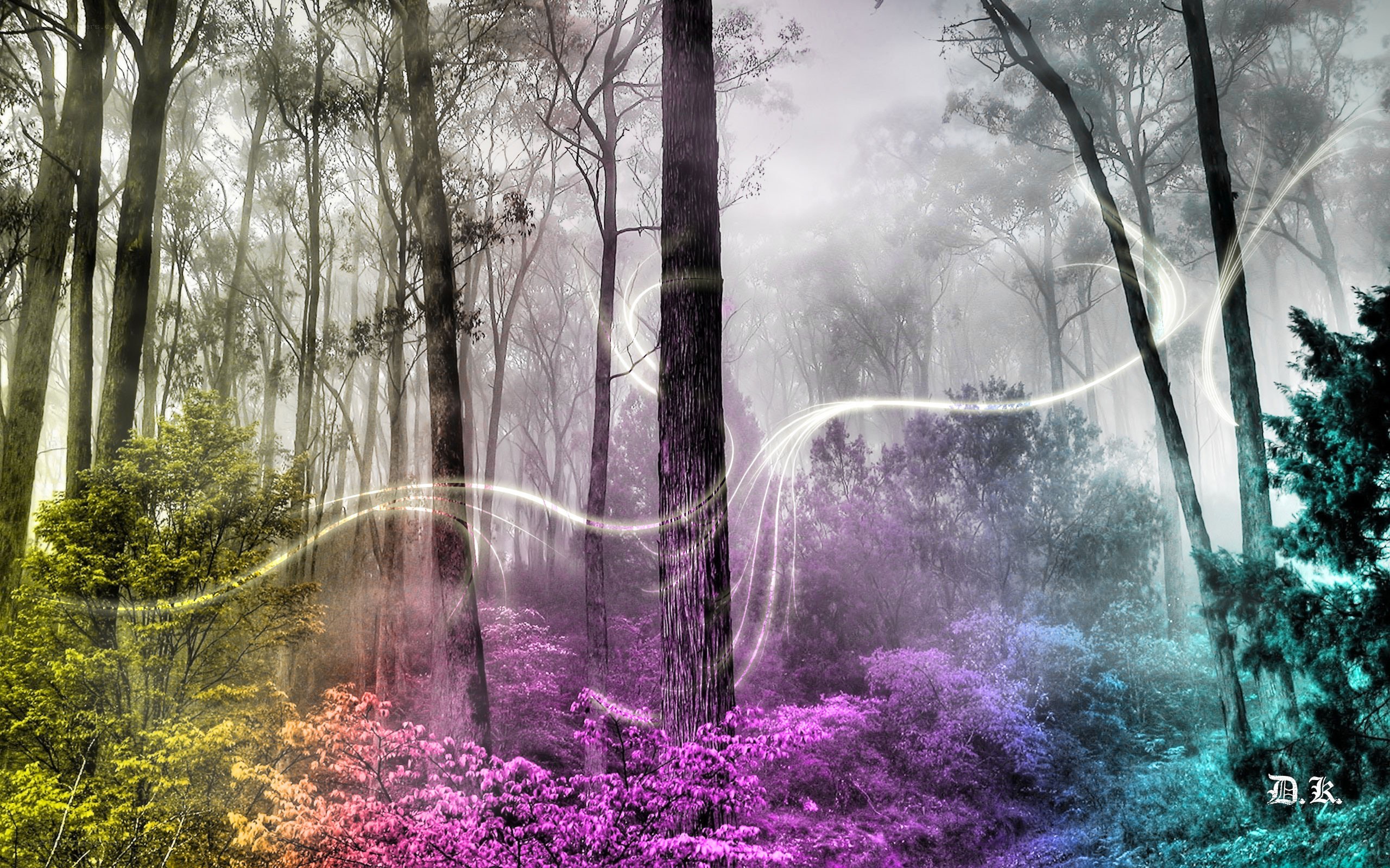 Mystical forest with glowing light trails