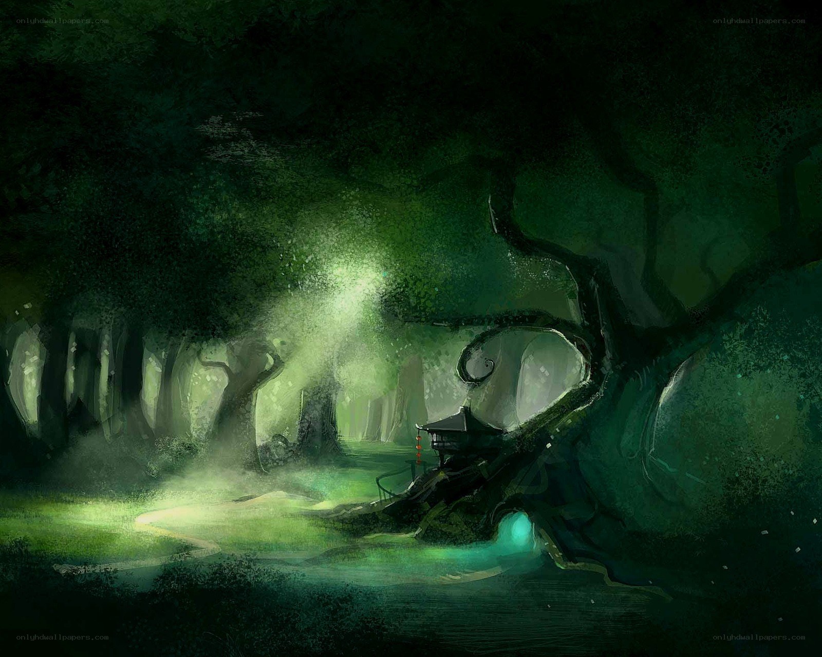 Mystical forest with glowing light