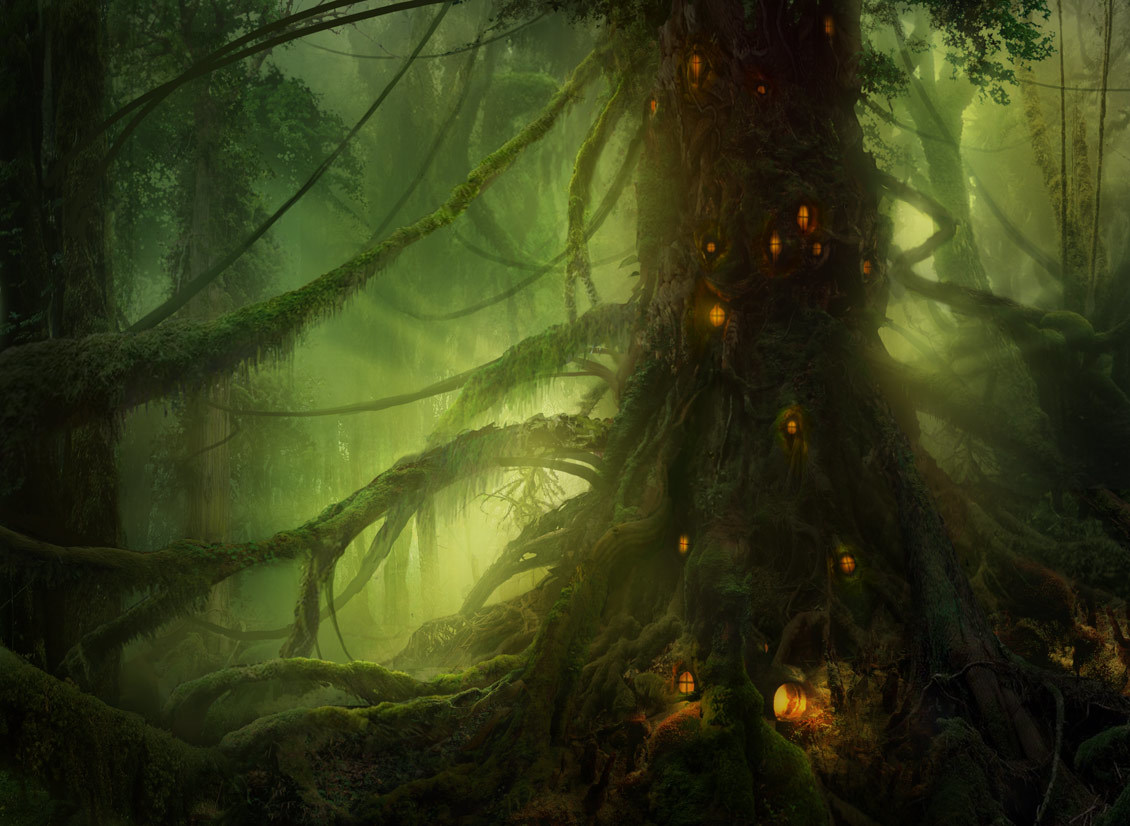 mystical forest with glowing lights