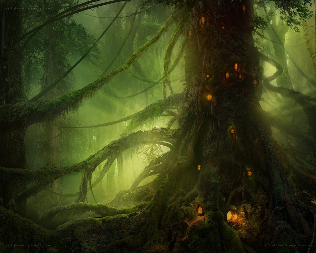 Mystical forest with glowing lights