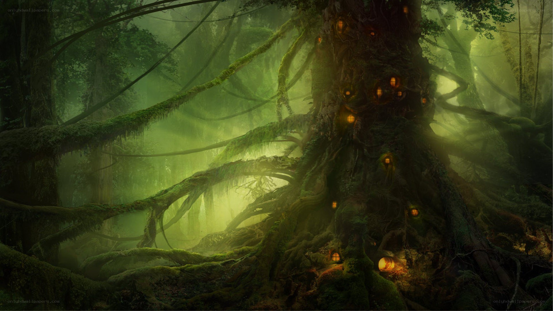 mystical forest with glowing lights