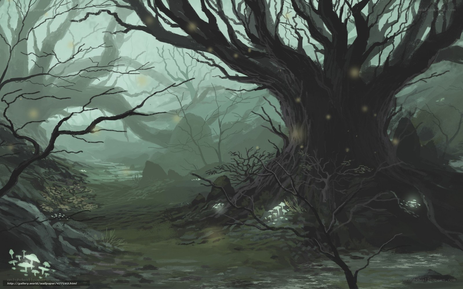 Mystical forest with glowing lights