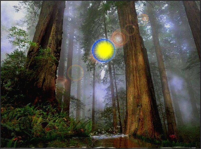 Mystical Forest with Glowing Orbs