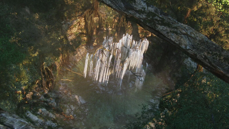 mystical forest with glowing vines