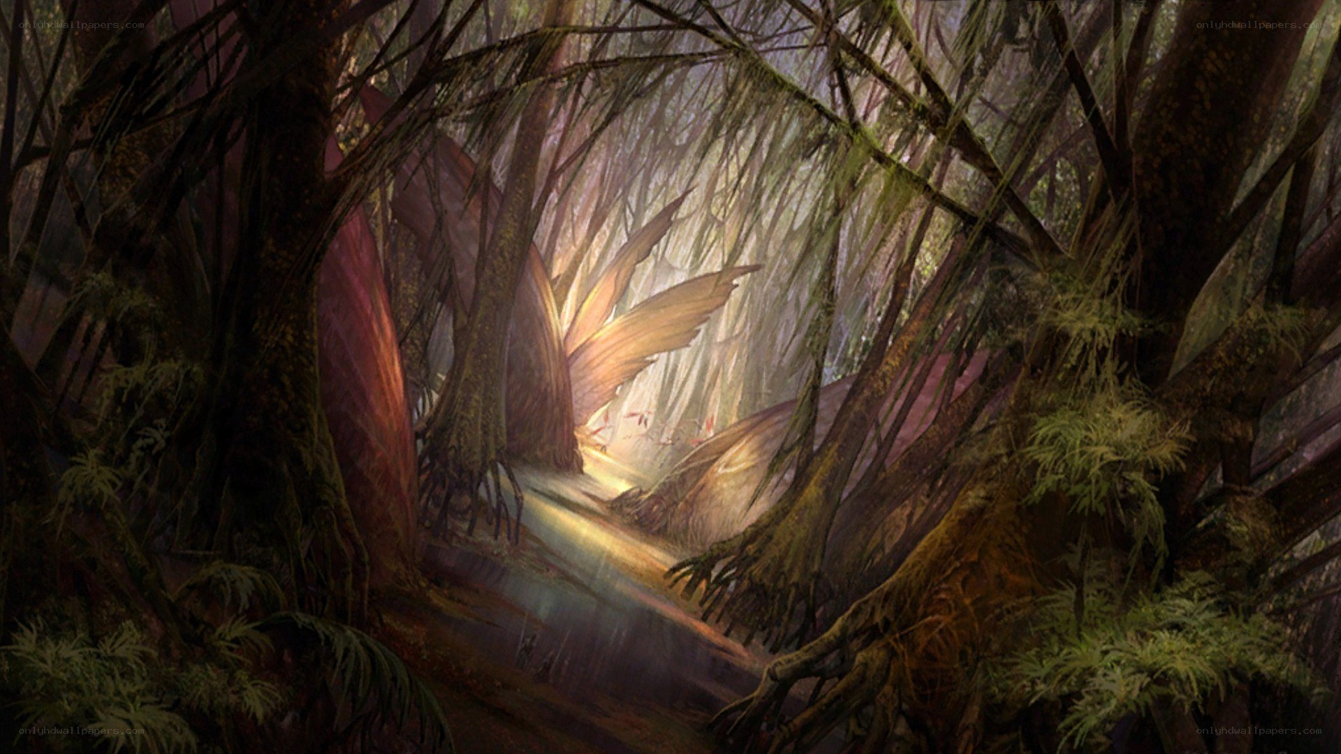 mystical forest with glowing wings