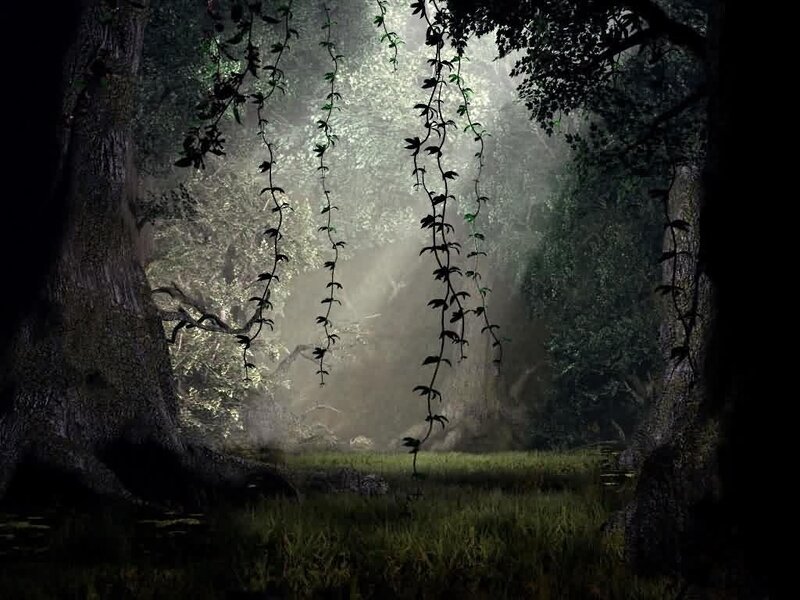 mystical forest with hanging vines