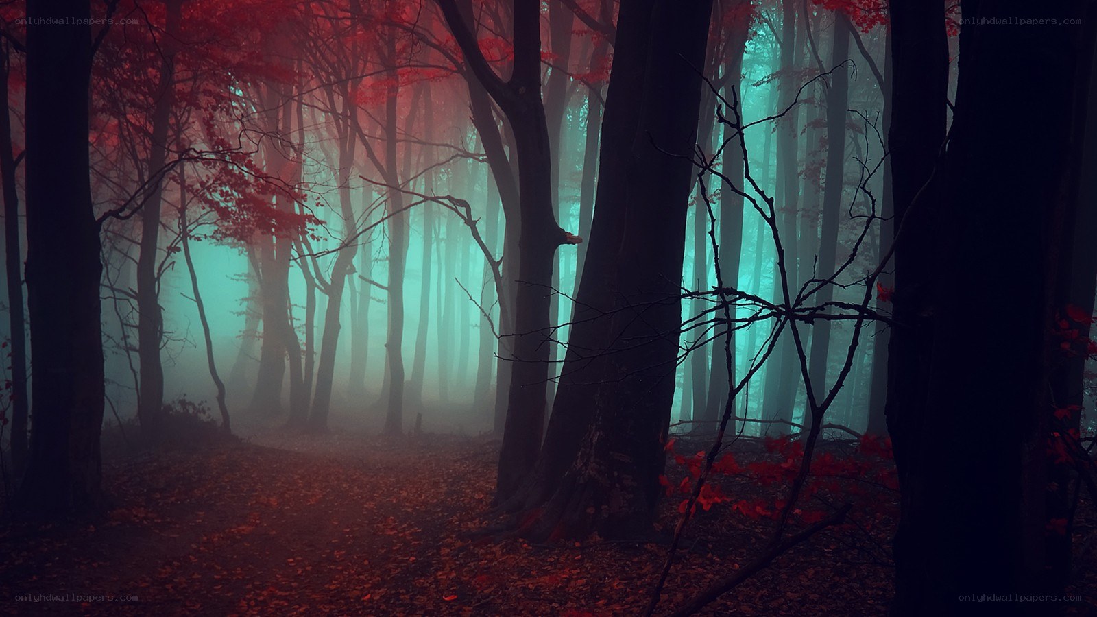 mystical forest with red leaves