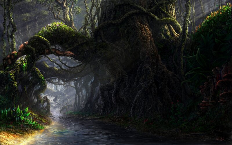 mystical forest with river