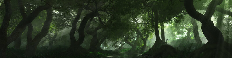 Mystical forest with sunbeams