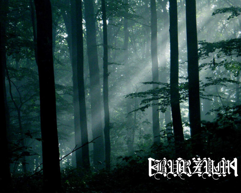 Mystical forest with sunbeams