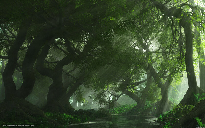 Mystical forest with sunbeams