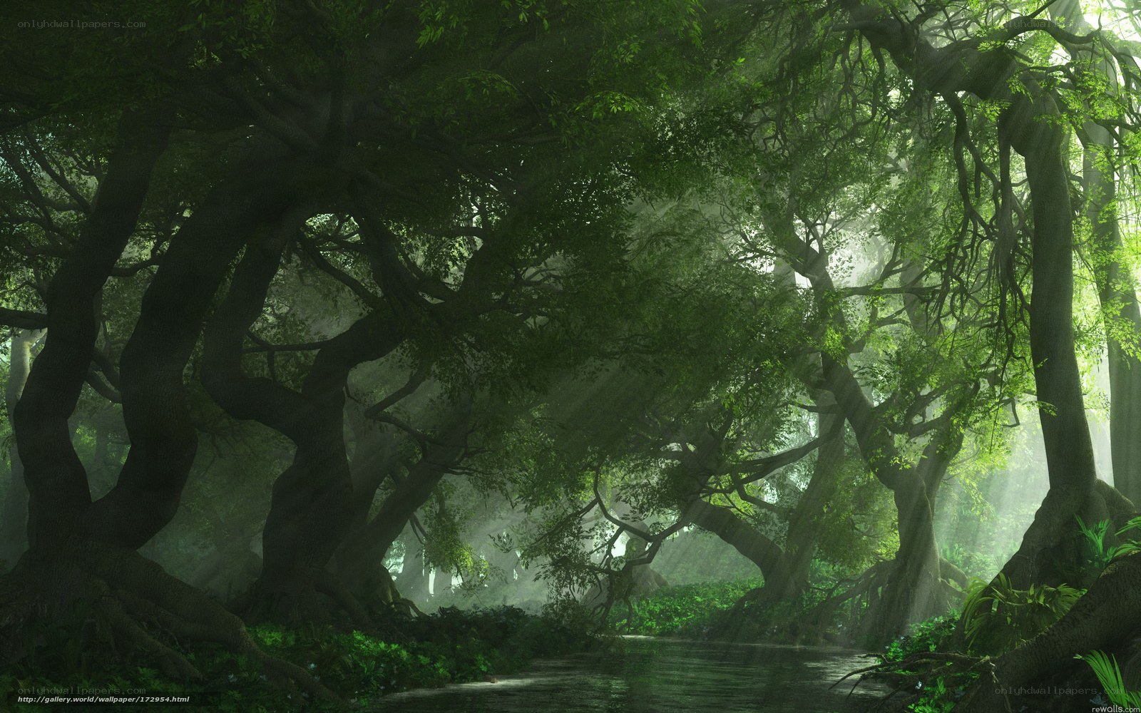 Mystical forest with sunbeams