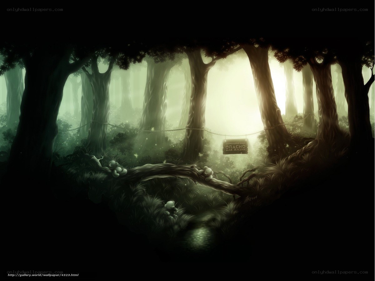 Mystical forest with warning sign
