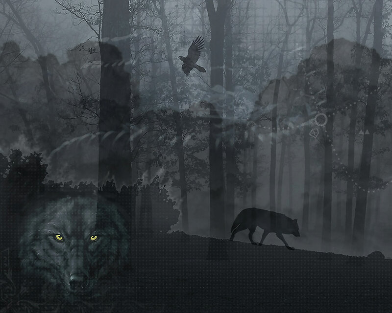 Mystical forest wolves