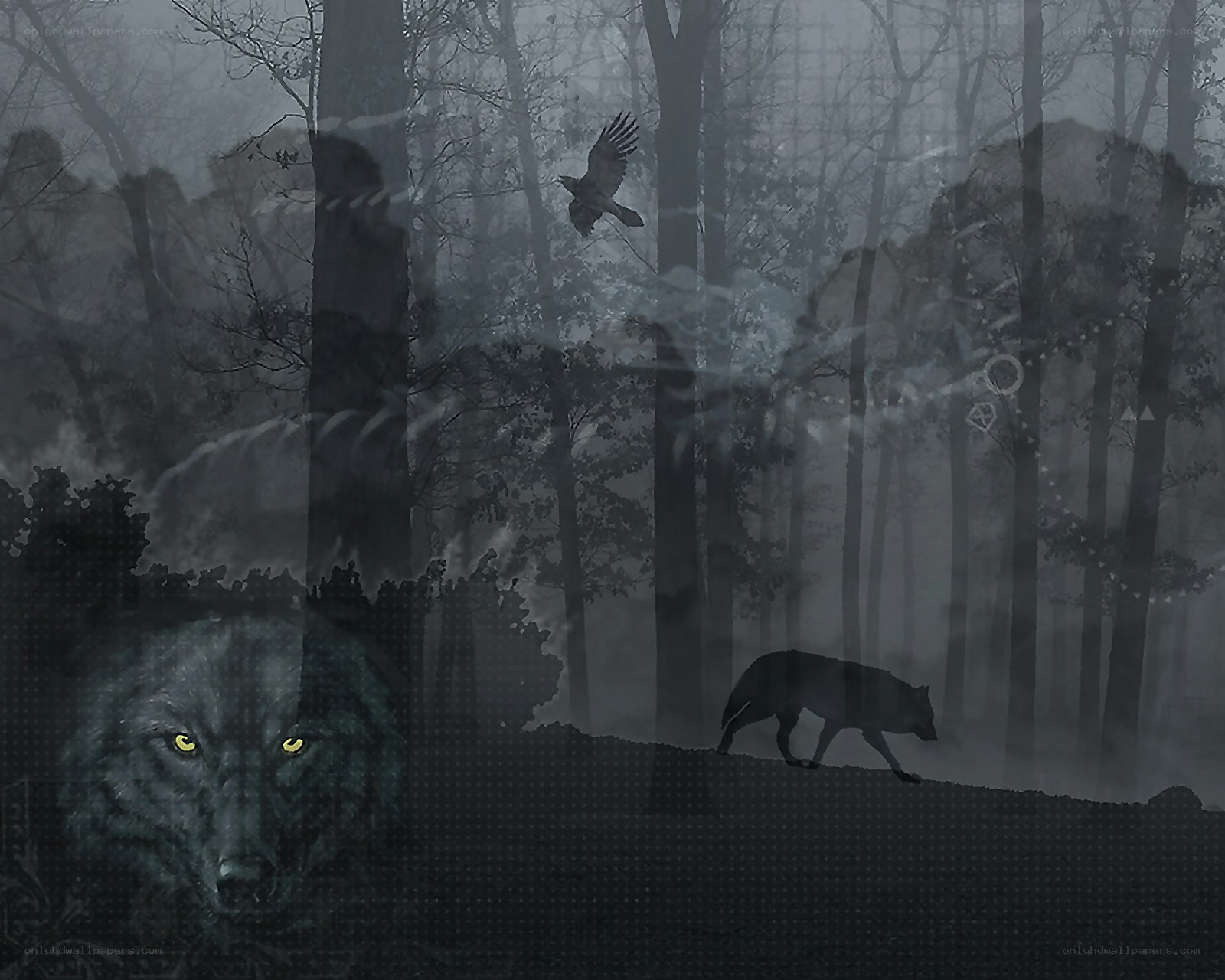 Mystical forest wolves