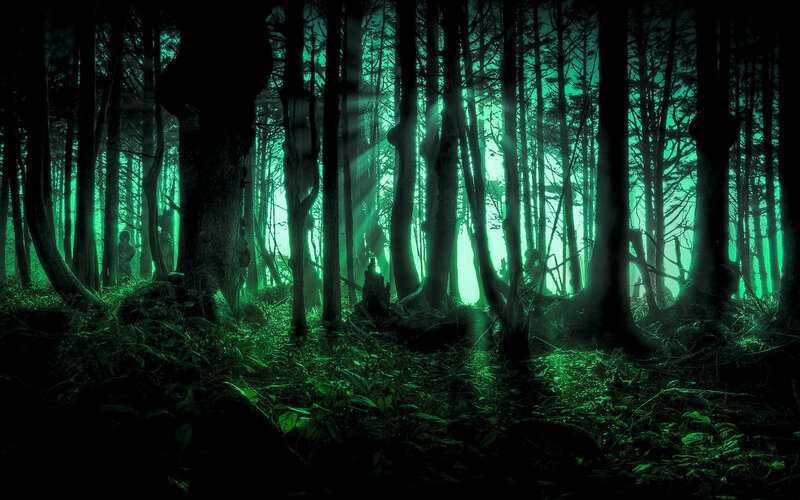 mystical green forest